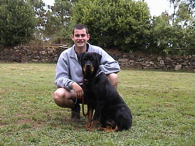 dog_20