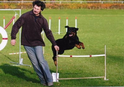 dog_49