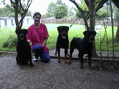 dog_9